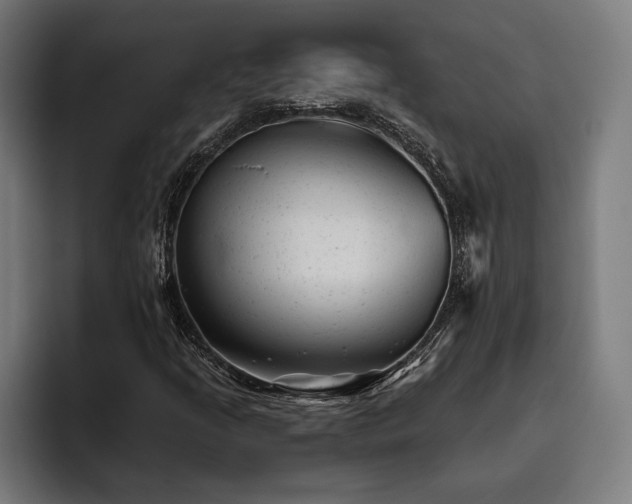 X0000093421205200710121137
