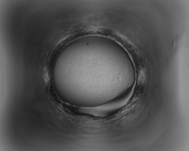 X0000093421206200710121137