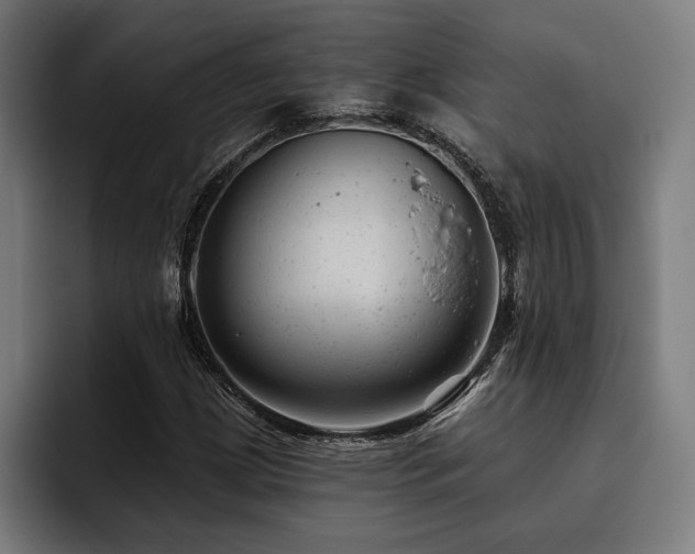 X0000093421209200710121137