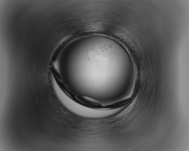 X0000093421210200710121137