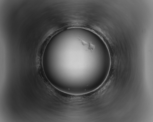 X0000093421211200710121137