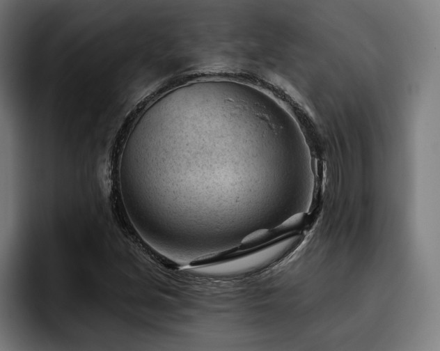 X0000093421213200710121137