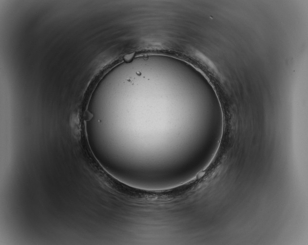 X0000093421218200710121137