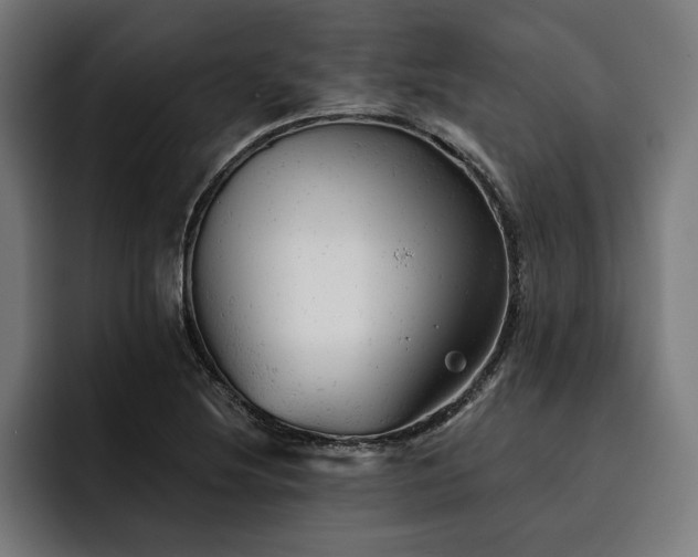 X0000093421220200710121137