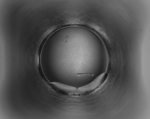 X0000093421221200710121137