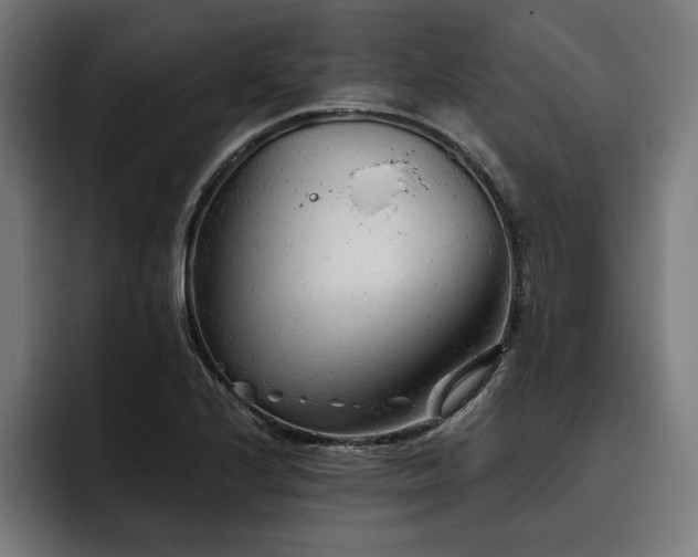 X0000093421224200710121137
