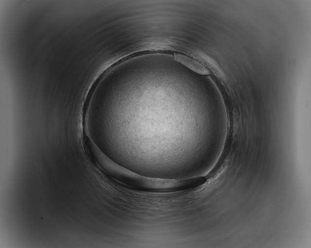 X0000093421226200710121137