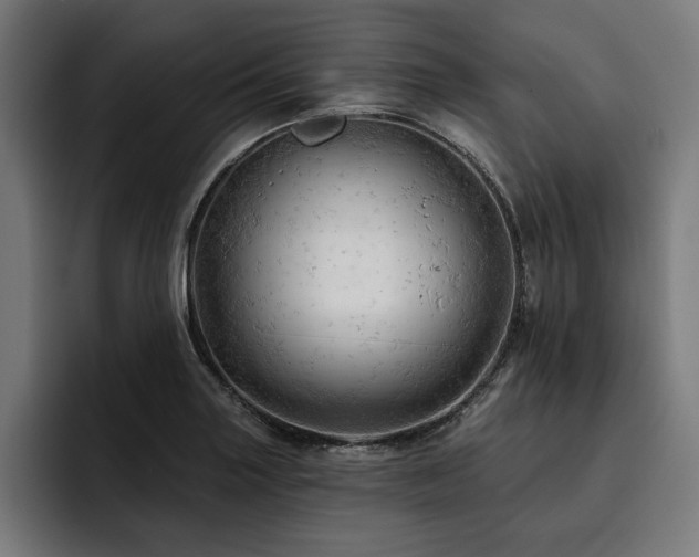 X0000093421227200710121137