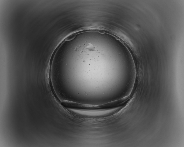 X0000093421228200710121137