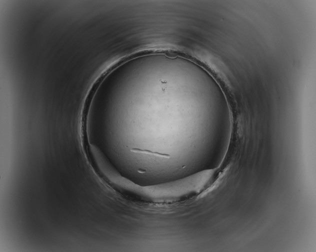 X0000093421229200710121137