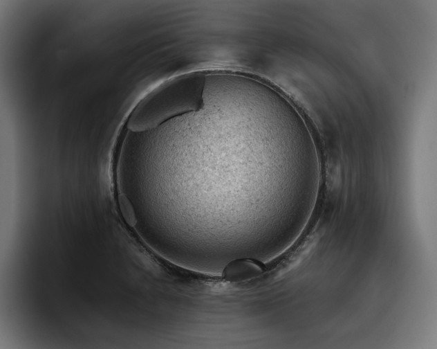 X0000093421230200710121137
