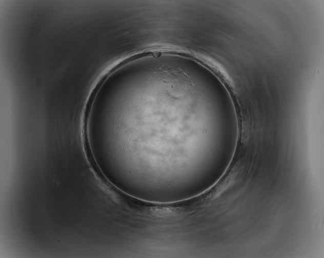 X0000093421231200710121137