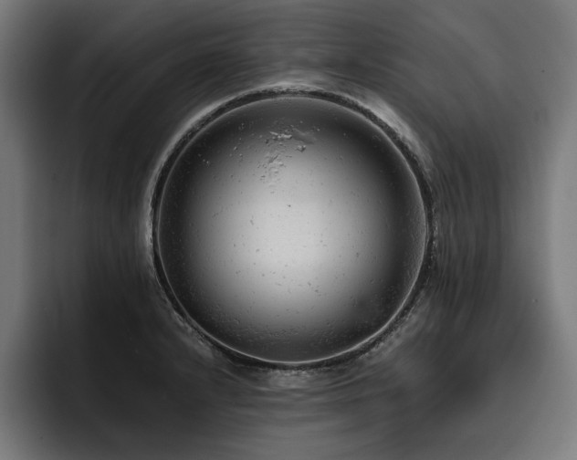 X0000093421232200710121137