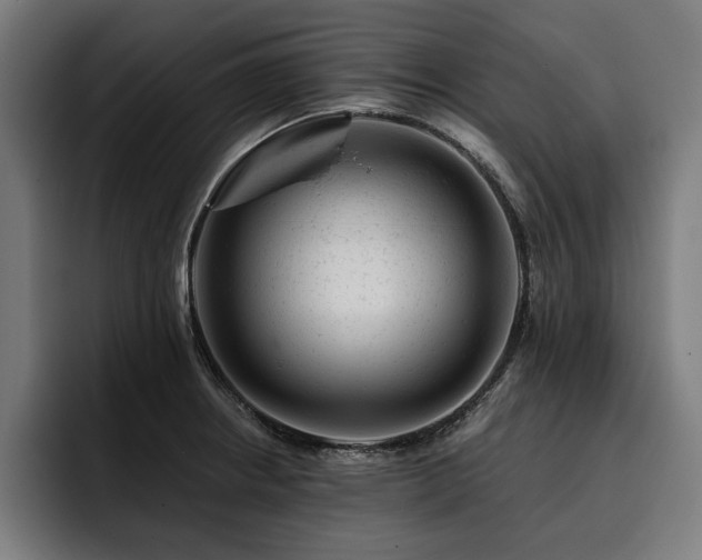 X0000093421234200710121138