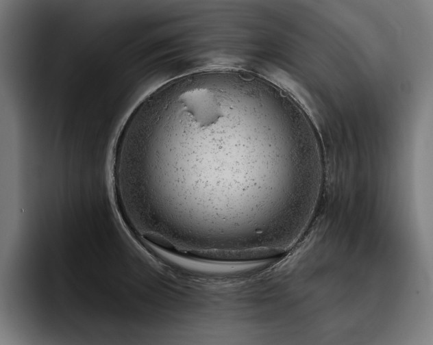 X0000093421235200710121138