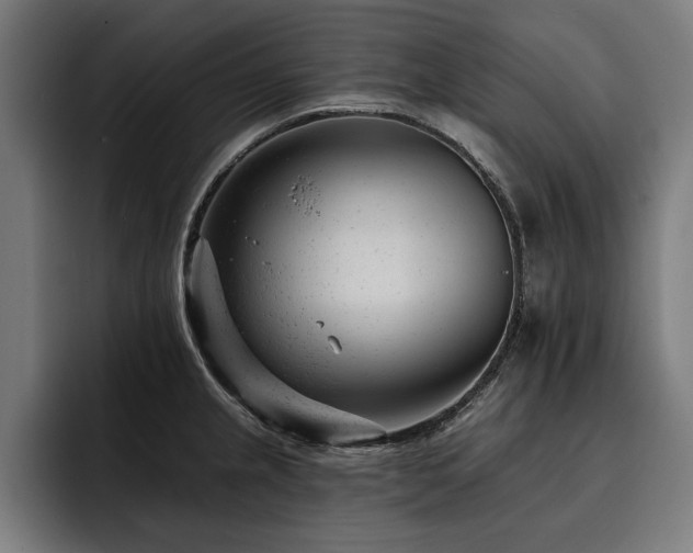X0000093421237200710121138