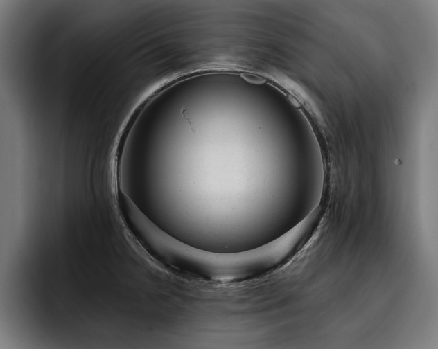 X0000093421238200710121138
