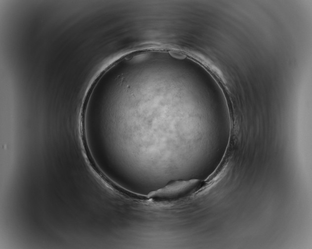 X0000093421239200710121138