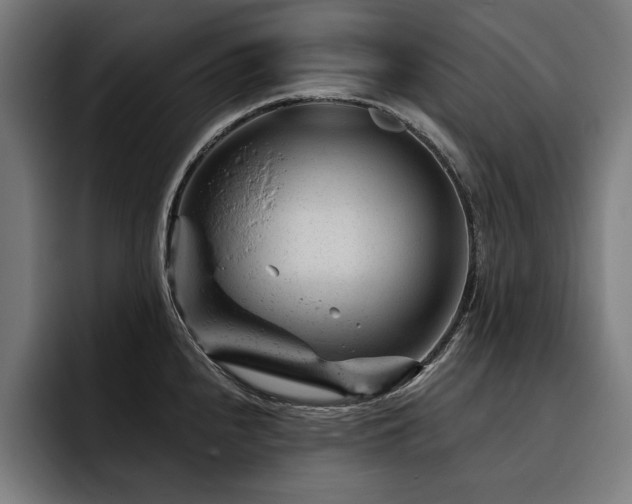X0000093421240200710121138