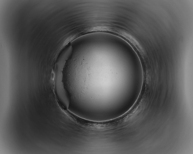 X0000093421241200710121138