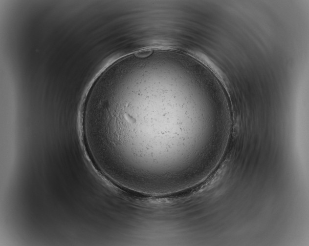 X0000093421243200710121138