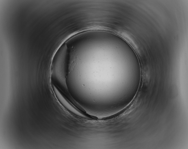 X0000093421244200710121138