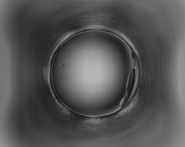 X0000093421245200710121138
