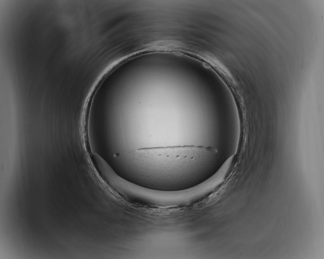 X0000093421248200710121138