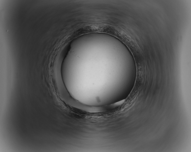 X0000093421249200710121137