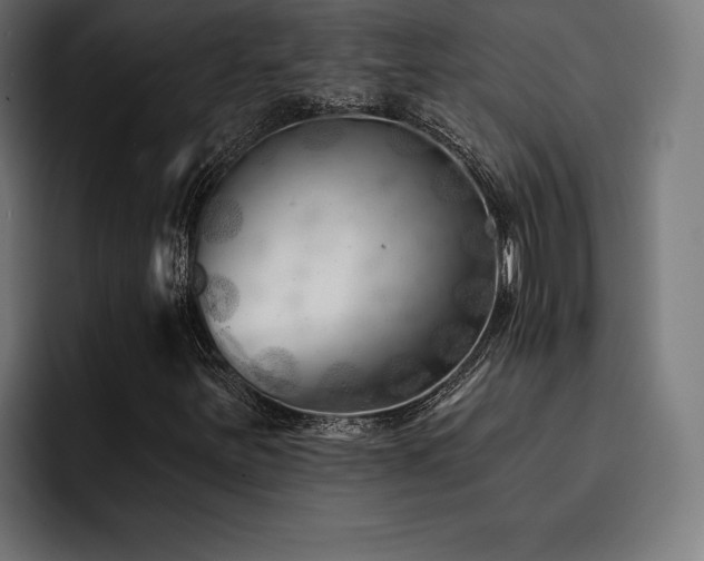 X0000093421251200710121137