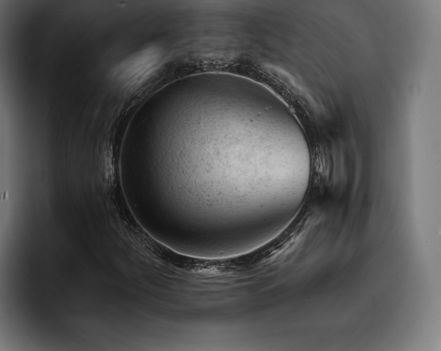 X0000093421252200710121137