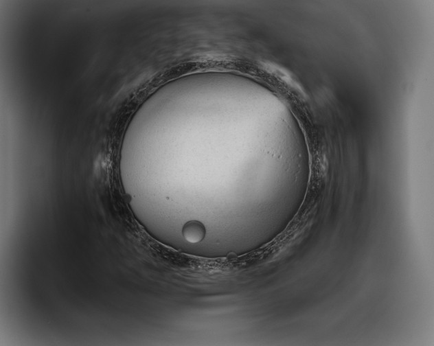 X0000093421254200710121137