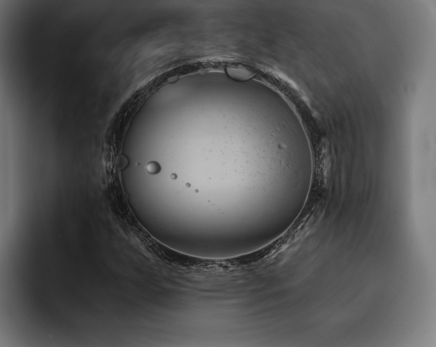 X0000093421255200710121137