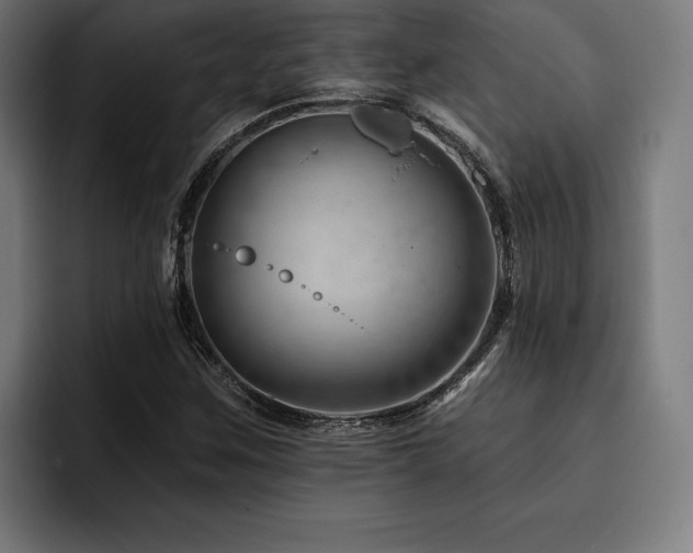 X0000093421259200710121137