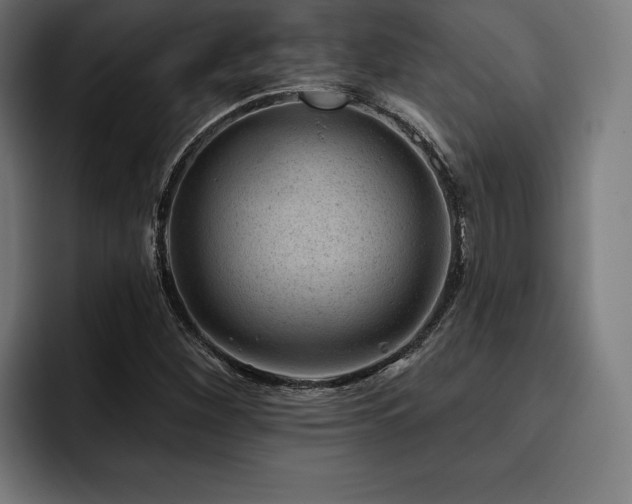 X0000093421260200710121137