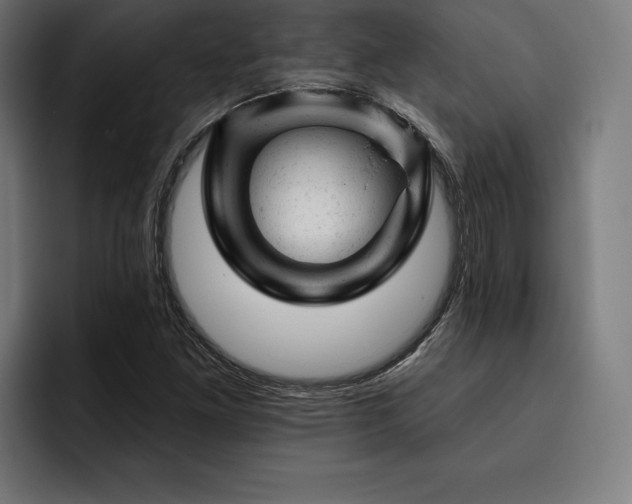 X0000093421261200710121137