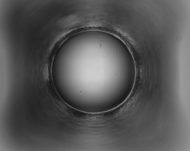 X0000093421262200710121137