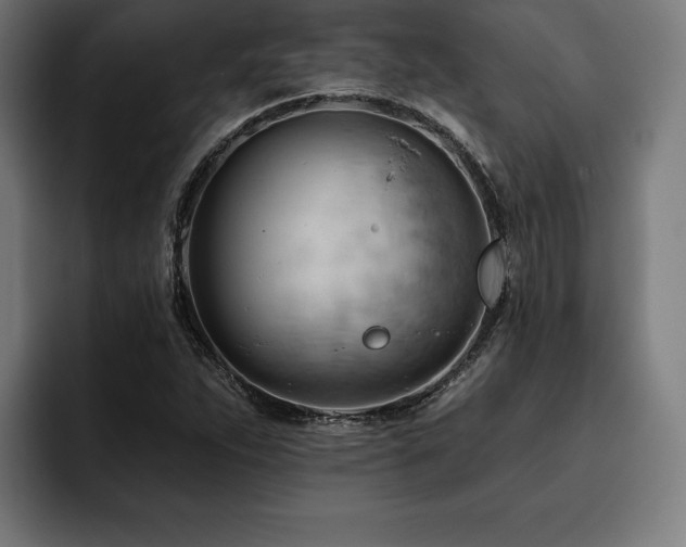 X0000093421263200710121137