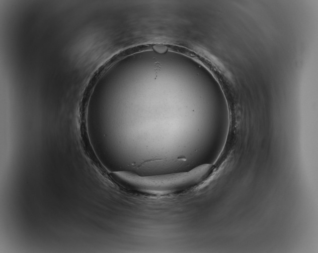 X0000093421264200710121137