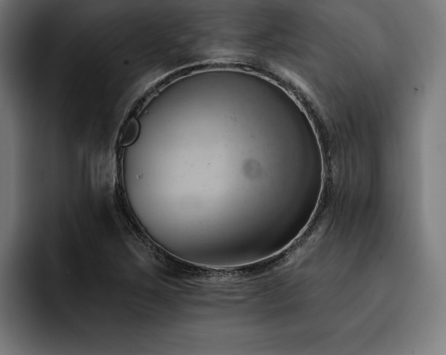 X0000093421267200710121137