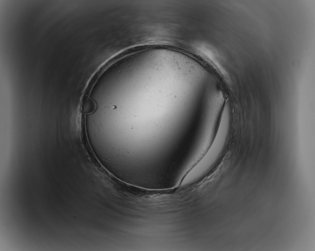 X0000093421268200710121137