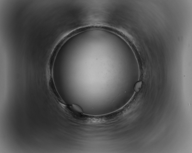 X0000093421271200710121137