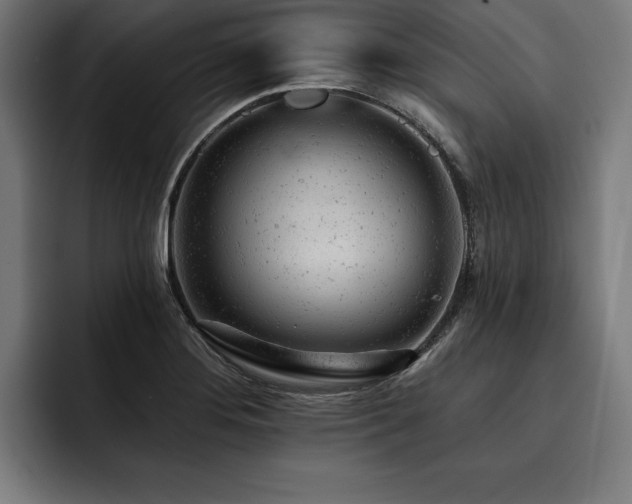 X0000093421276200710121137