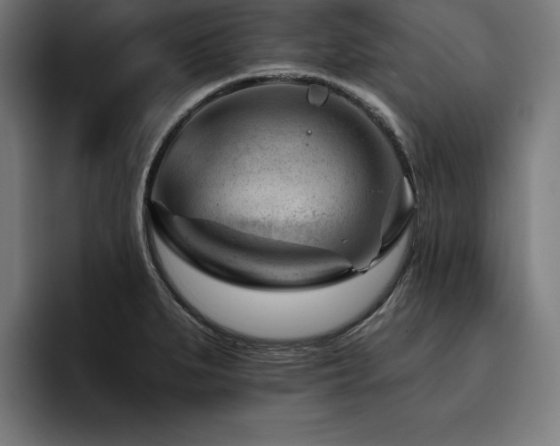 X0000093421279200710121137