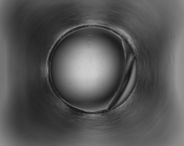 X0000093421280200710121137