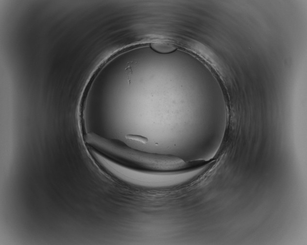 X0000093421283200710121137