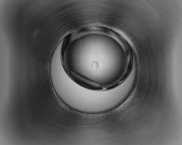 X0000093421289200710121137