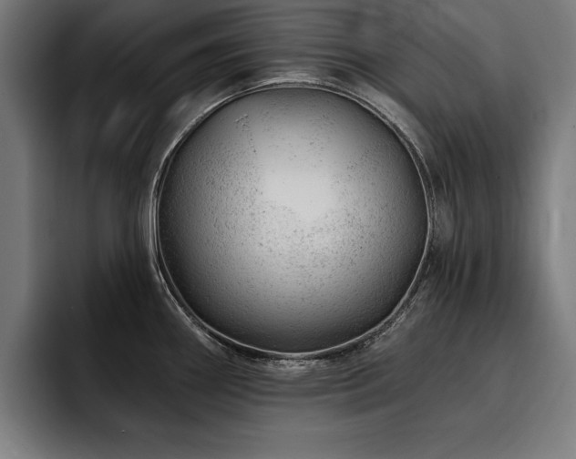 X0000093421290200710121137