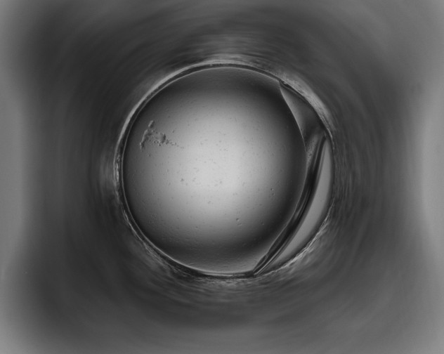 X0000093421292200710121137