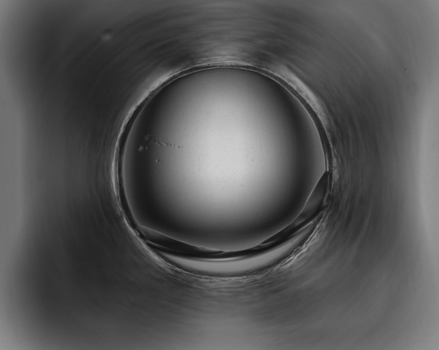 X0000093421293200710121137